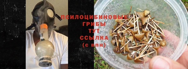 соль курить ск Лиски