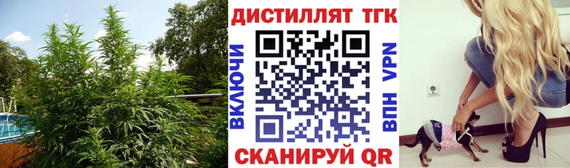 Дистиллят ТГК гашишное масло  цены наркотик  Покров 