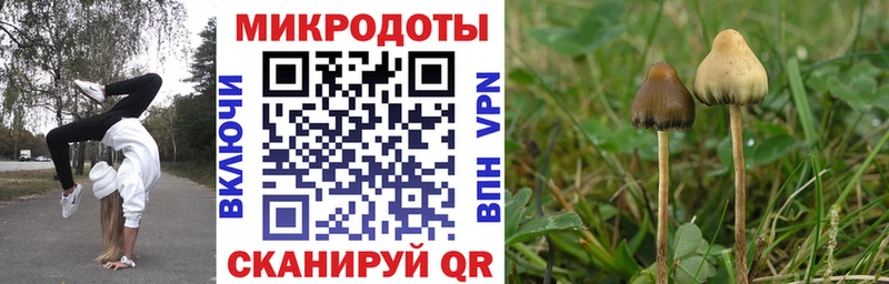 Псилоцибиновые грибы GOLDEN TEACHER  купить   Покров 